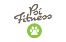 Psí posilování | Psí fitness- posilování a balanční cvičení pro Vašeho psa! 